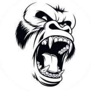 Meet your Posher, Avery